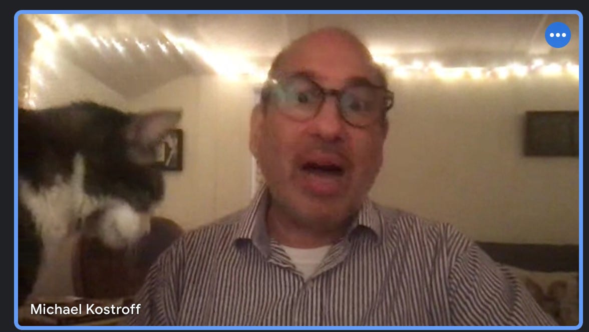 Michael Kostroff cat