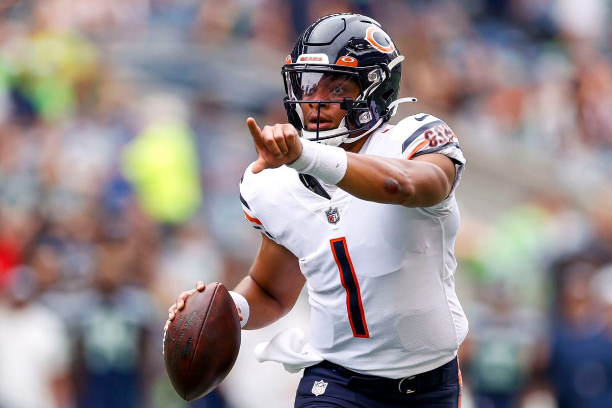 Meet the new Bears