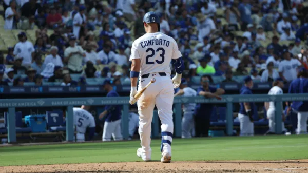 An obvious waste of time